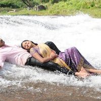 Paakanum Pola Irukku Tamil Movie stills | Picture 39976